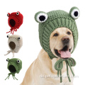 Cartoon Frosch Tierform Haustier Stricker Wollhut